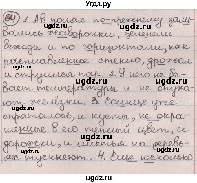 ГДЗ (Решебник №1) по русскому языку 9 класс Л.A. Мурина / упражнение / 64