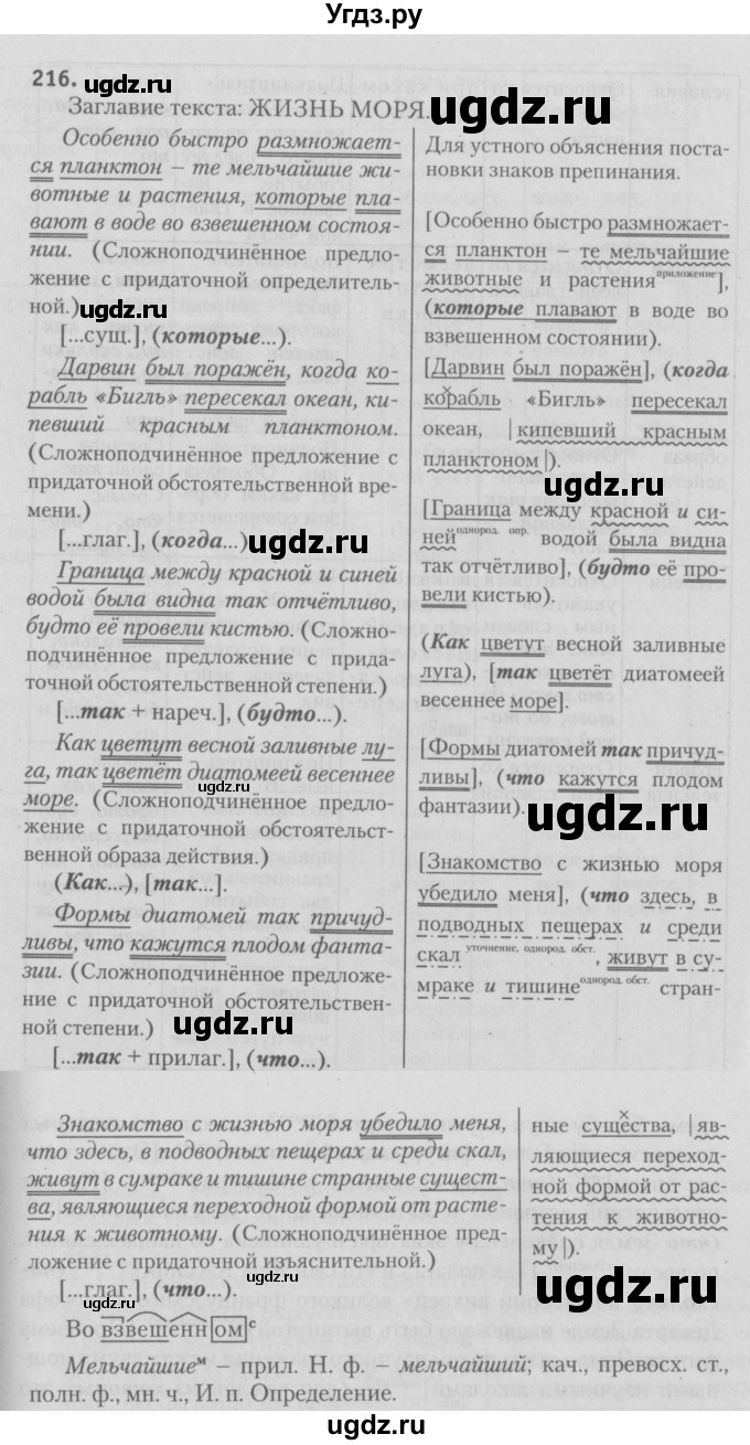 ГДЗ (Решебник №3) по русскому языку 9 класс Л.A. Мурина / упражнение / 216