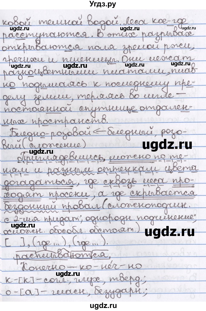 ГДЗ (Решебник) по русскому языку 10 класс Л. A. Мурина / упражнение номер / 164(продолжение 4)