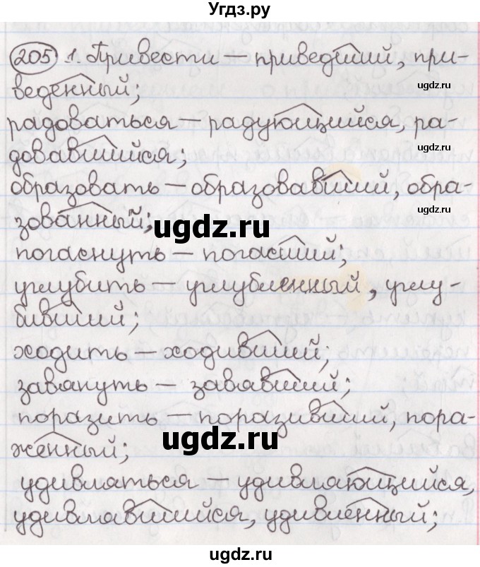 ГДЗ (Решебник) по русскому языку 10 класс Л. A. Мурина / упражнение номер / 205