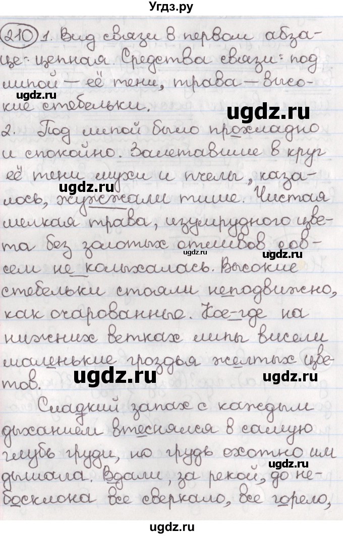 ГДЗ (Решебник) по русскому языку 10 класс Л. A. Мурина / упражнение номер / 210