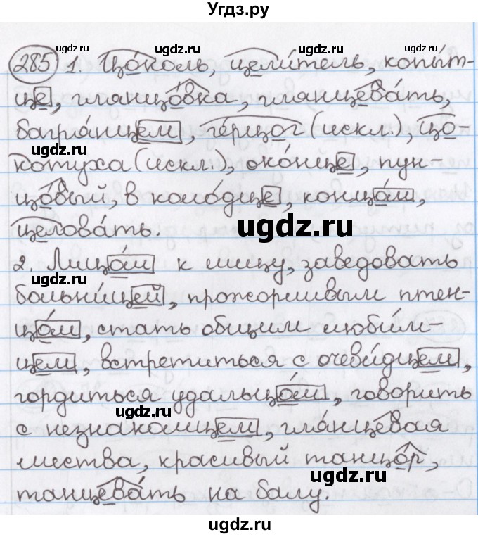 ГДЗ (Решебник) по русскому языку 10 класс Л. A. Мурина / упражнение номер / 285