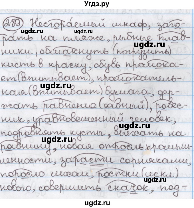 ГДЗ (Решебник) по русскому языку 10 класс Л. A. Мурина / упражнение номер / 289