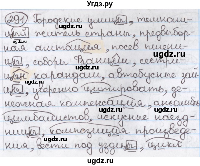 ГДЗ (Решебник) по русскому языку 10 класс Л. A. Мурина / упражнение номер / 291