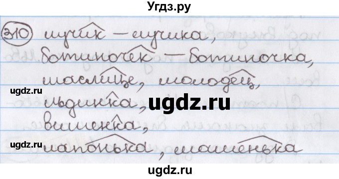 ГДЗ (Решебник) по русскому языку 10 класс Л. A. Мурина / упражнение номер / 310