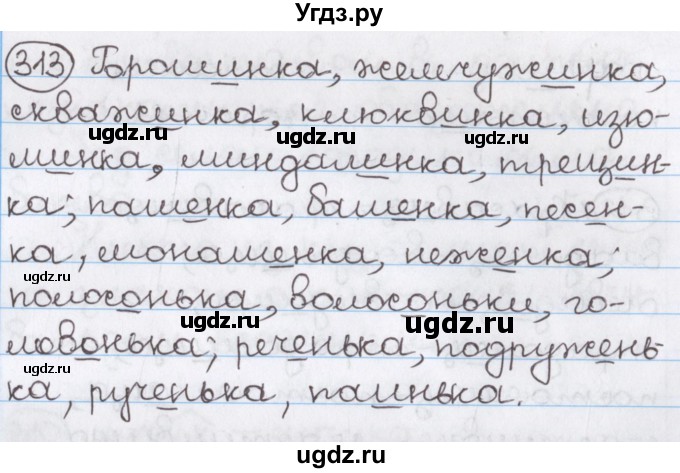 ГДЗ (Решебник) по русскому языку 10 класс Л. A. Мурина / упражнение номер / 313