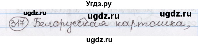 ГДЗ (Решебник) по русскому языку 10 класс Л. A. Мурина / упражнение номер / 317