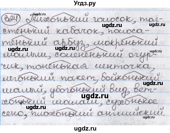 ГДЗ (Решебник) по русскому языку 10 класс Л. A. Мурина / упражнение номер / 324