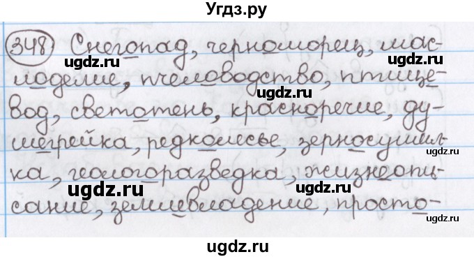 ГДЗ (Решебник) по русскому языку 10 класс Л. A. Мурина / упражнение номер / 348