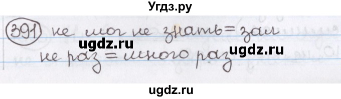 ГДЗ (Решебник) по русскому языку 10 класс Л. A. Мурина / упражнение номер / 391