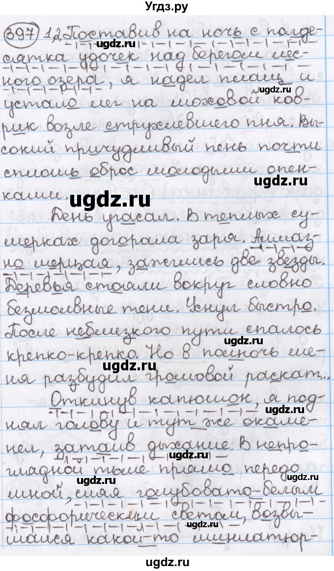 ГДЗ (Решебник) по русскому языку 10 класс Л. A. Мурина / упражнение номер / 397