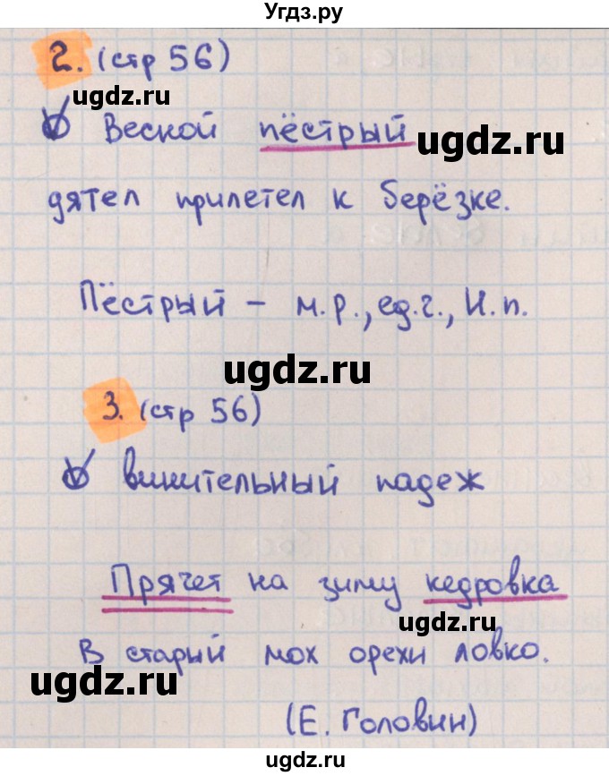 ГДЗ (Решебник) по русскому языку 3 класс (тетрадь учебных достижений) Канакина В.П. / страница номер / 56(продолжение 2)