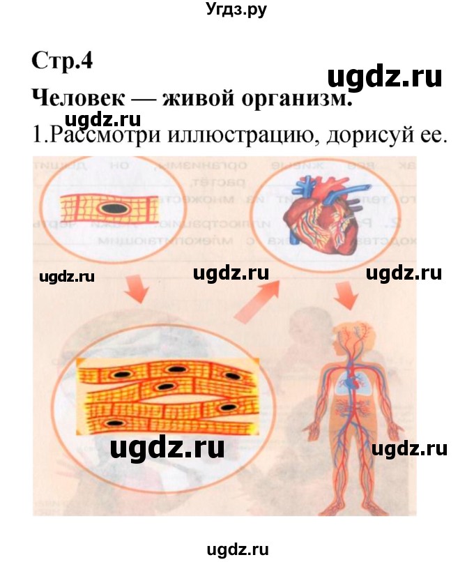 ГДЗ (Решебник) по окружающему миру 4 класс (рабочая тетрадь) Е.В. Саплина / часть 1. страница номер / 4