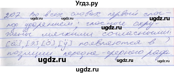 ГДЗ (Решебник к учебнику 2016) по русскому языку 10 класс Гусарова И.В. / упражнение / 207