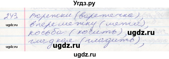 ГДЗ (Решебник к учебнику 2016) по русскому языку 10 класс Гусарова И.В. / упражнение / 243