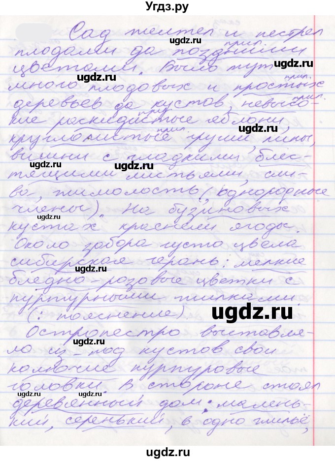 ГДЗ (Решебник к учебнику 2022) по русскому языку 10 класс Гусарова И.В. / упражнение / 126