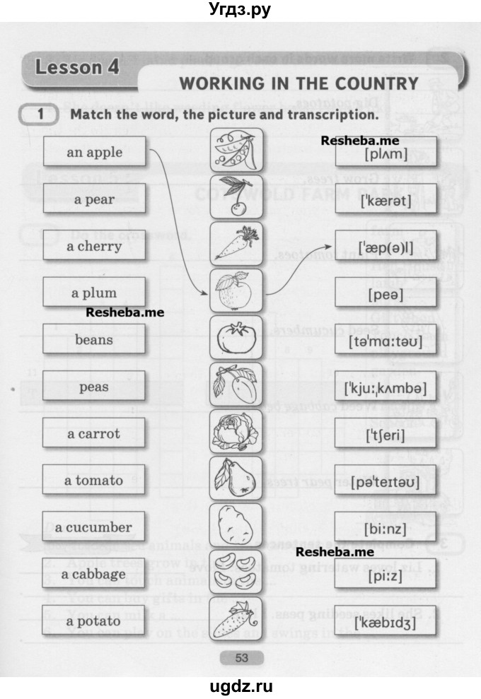 ГДЗ (Учебник) по английскому языку 5 класс Л. М. Лапицкая / часть 2. страница / 53