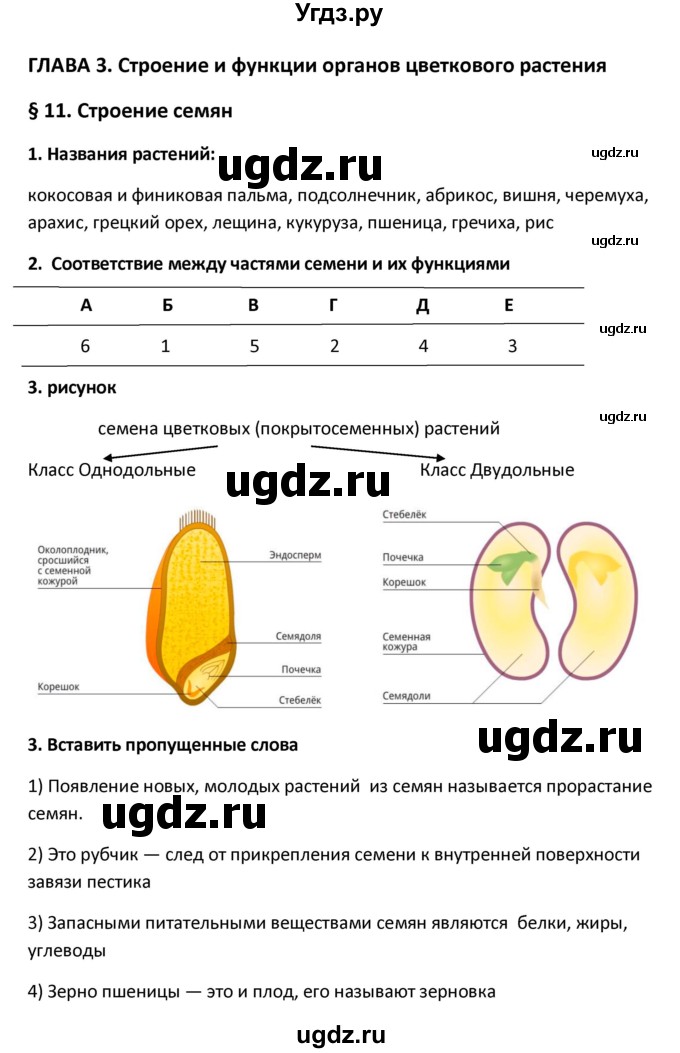 ГДЗ (Решебник) по биологии 6 класс (рабочая тетрадь) Исаева Т.А. / § / 11