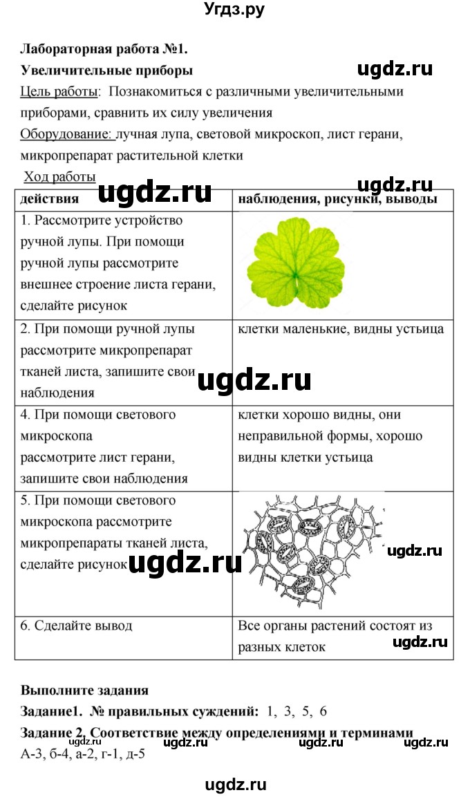 ГДЗ (Решебник) по биологии 6 класс (тетрадь для лабораторных работ) Амахина Ю.В. / лабораторная работа / 1