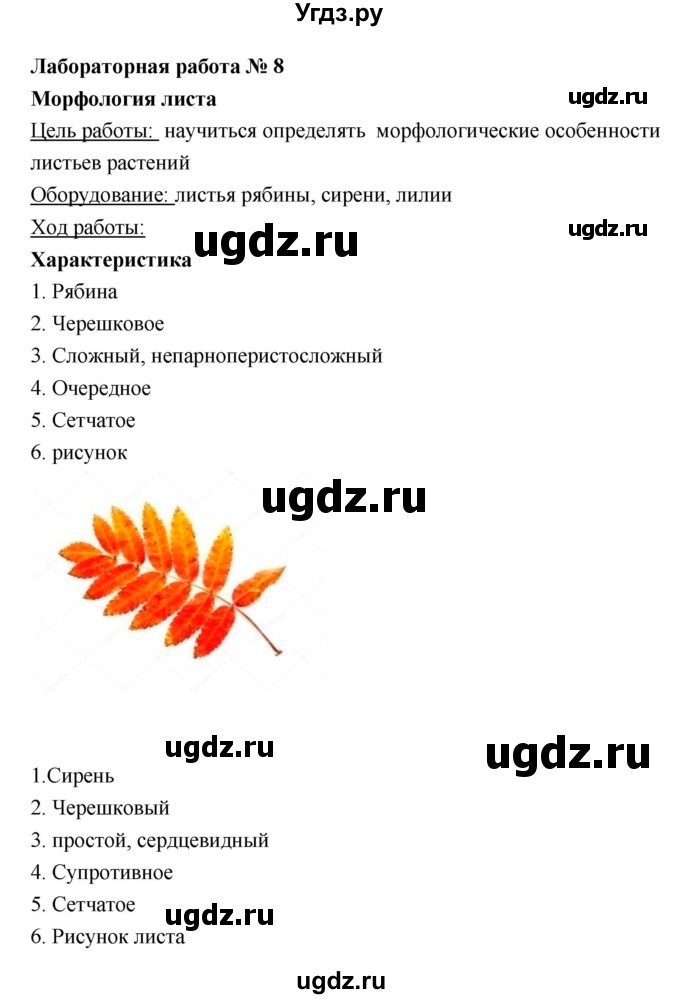 ГДЗ (Решебник) по биологии 6 класс (тетрадь для лабораторных работ) Амахина Ю.В. / лабораторная работа / 8