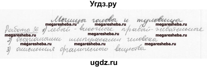 ГДЗ (Решебник к тетради 2016) по биологии 8 класс (рабочая тетрадь) Маш Р.Д. / часть 1 (страница) / 25