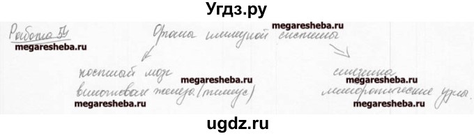 ГДЗ (Решебник к тетради 2016) по биологии 8 класс (рабочая тетрадь) Маш Р.Д. / часть 1 (страница) / 37