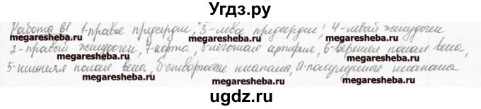 ГДЗ (Решебник к тетради 2016) по биологии 8 класс (рабочая тетрадь) Маш Р.Д. / часть 1 (страница) / 41