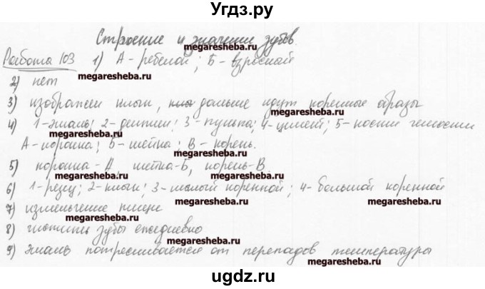 ГДЗ (Решебник к тетради 2016) по биологии 8 класс (рабочая тетрадь) Маш Р.Д. / часть 1 (страница) / 65