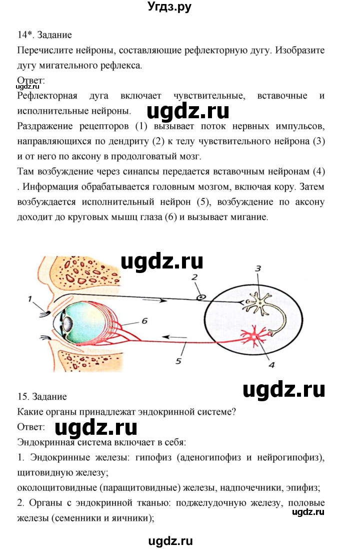 ГДЗ (Решебник) по биологии 8 класс Драгомилов А.Г. / страница / 33(продолжение 8)