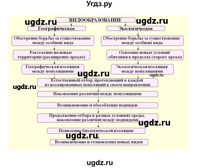 ГДЗ (Решебник) по биологии 9 класс (рабочая тетрадь) Пономарева И.Н. / страница номер / 116(продолжение 2)