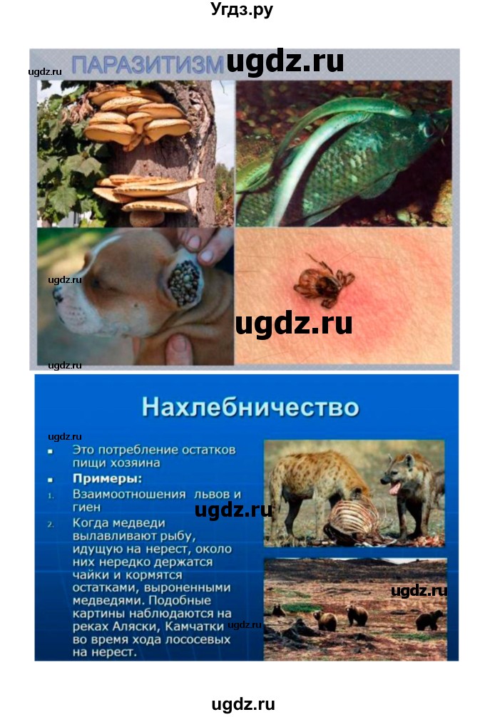 ГДЗ (Решебник) по биологии 9 класс (рабочая тетрадь) Пономарева И.Н. / страница номер / 128(продолжение 4)