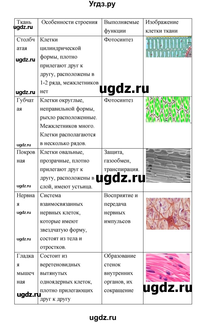 ГДЗ (Решебник) по биологии 9 класс (рабочая тетрадь) Пономарева И.Н. / страница номер / 17(продолжение 2)