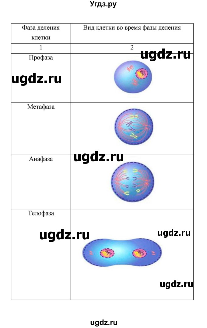 ГДЗ (Решебник) по биологии 9 класс (рабочая тетрадь) Пономарева И.Н. / страница номер / 33–34(продолжение 2)