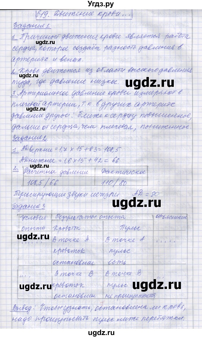 ГДЗ (Решебник) по биологии 9 класс (рабочая тетрадь) Маш Р.Д. / § номер / 19