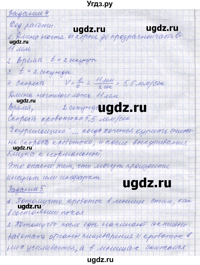 ГДЗ (Решебник) по биологии 9 класс (рабочая тетрадь) Маш Р.Д. / § номер / 19(продолжение 2)