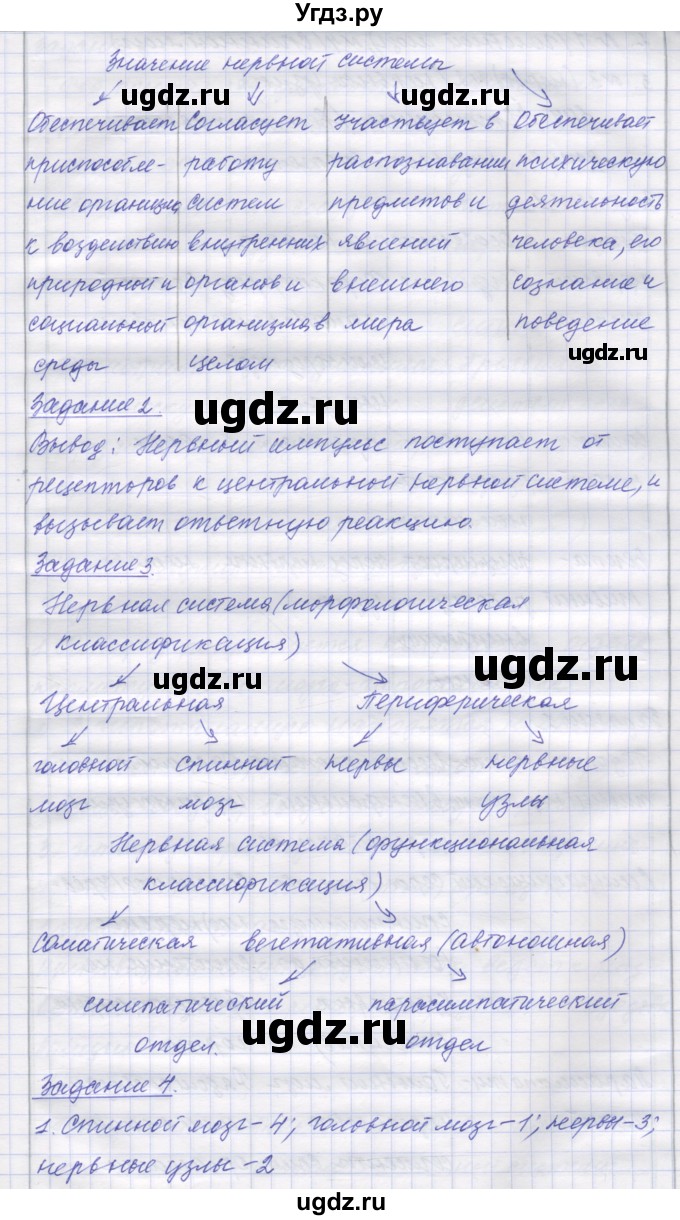 ГДЗ (Решебник) по биологии 9 класс (рабочая тетрадь) Маш Р.Д. / § номер / 46(продолжение 2)