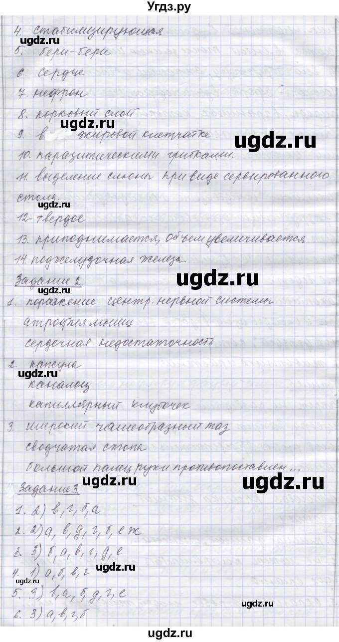 ГДЗ (Решебник) по биологии 9 класс (рабочая тетрадь) Маш Р.Д. / итоги главы / Итоговая проверка знаний(продолжение 2)