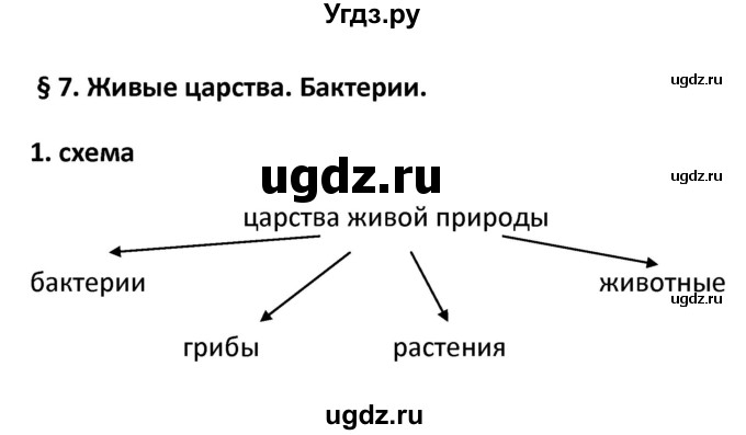 ГДЗ (Решебник) по биологии 5 класс (рабочая тетрадь) Новикова С.Н. / § / 7