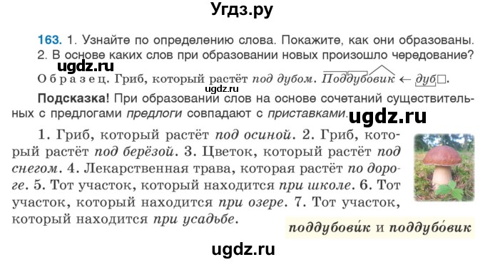 ГДЗ (Учебник 2020) по русскому языку 6 класс Л. A. Мурина / упражнение / 163