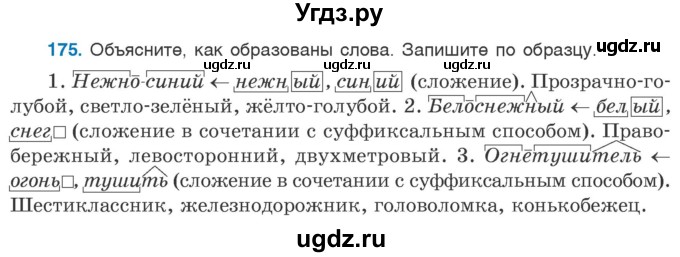 ГДЗ (Учебник 2020) по русскому языку 6 класс Л. A. Мурина / упражнение / 175
