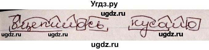 ГДЗ (Решебник к учебнику 2020) по русскому языку 6 класс Л. A. Мурина / упражнение / 142(продолжение 2)
