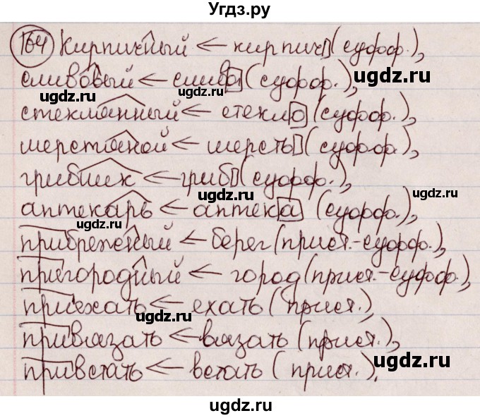 ГДЗ (Решебник к учебнику 2020) по русскому языку 6 класс Л. A. Мурина / упражнение / 164