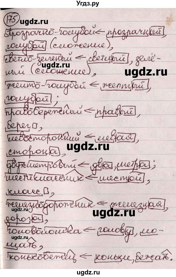 ГДЗ (Решебник к учебнику 2020) по русскому языку 6 класс Л. A. Мурина / упражнение / 175