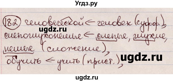 ГДЗ (Решебник к учебнику 2020) по русскому языку 6 класс Л. A. Мурина / упражнение / 182