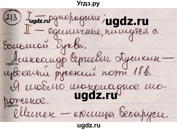 ГДЗ (Решебник к учебнику 2020) по русскому языку 6 класс Л. А. Мурина / упражнение / 213