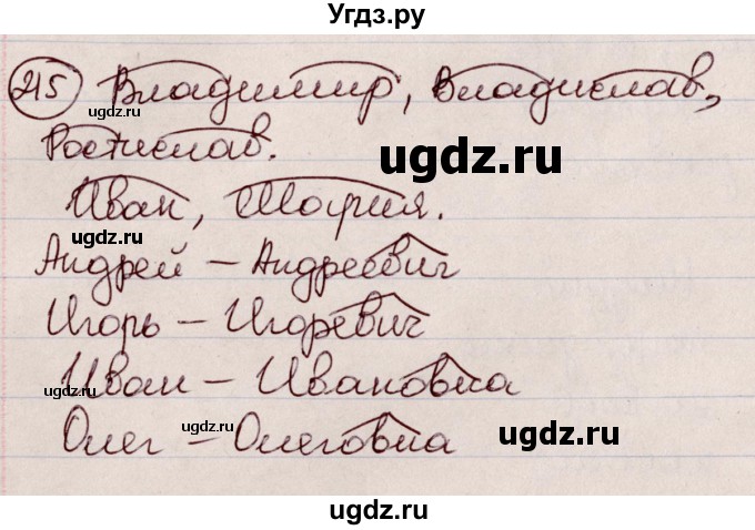 ГДЗ (Решебник к учебнику 2020) по русскому языку 6 класс Л. А. Мурина / упражнение / 215