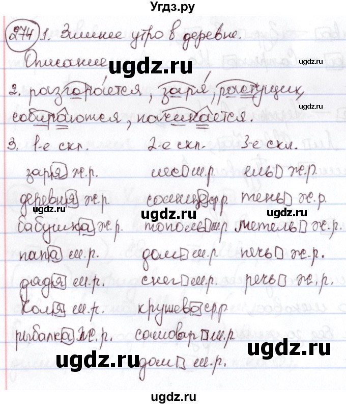 ГДЗ (Решебник к учебнику 2020) по русскому языку 6 класс Л. А. Мурина / упражнение / 274