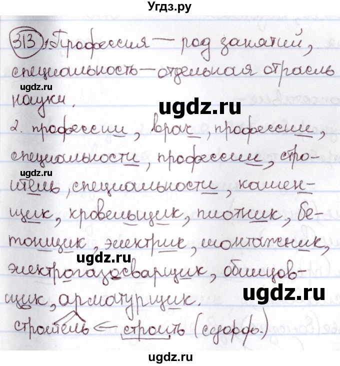 ГДЗ (Решебник к учебнику 2020) по русскому языку 6 класс Л. A. Мурина / упражнение / 313