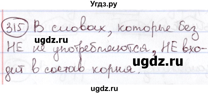 ГДЗ (Решебник к учебнику 2020) по русскому языку 6 класс Л. А. Мурина / упражнение / 315