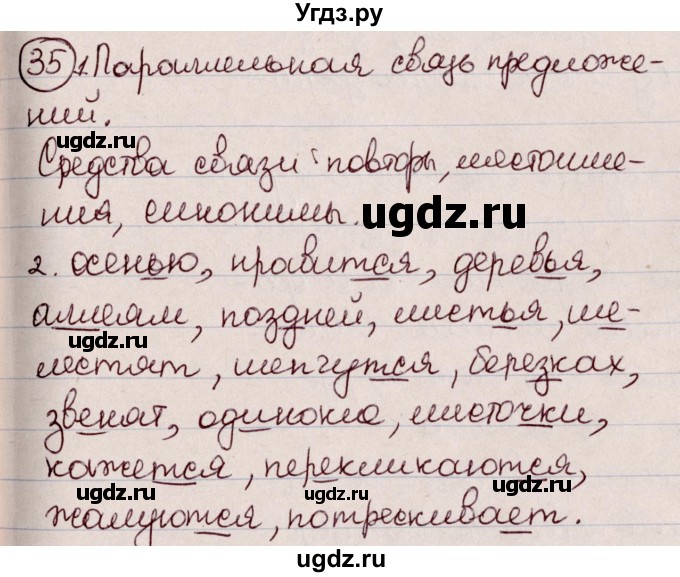 ГДЗ (Решебник к учебнику 2020) по русскому языку 6 класс Л. А. Мурина / упражнение / 35